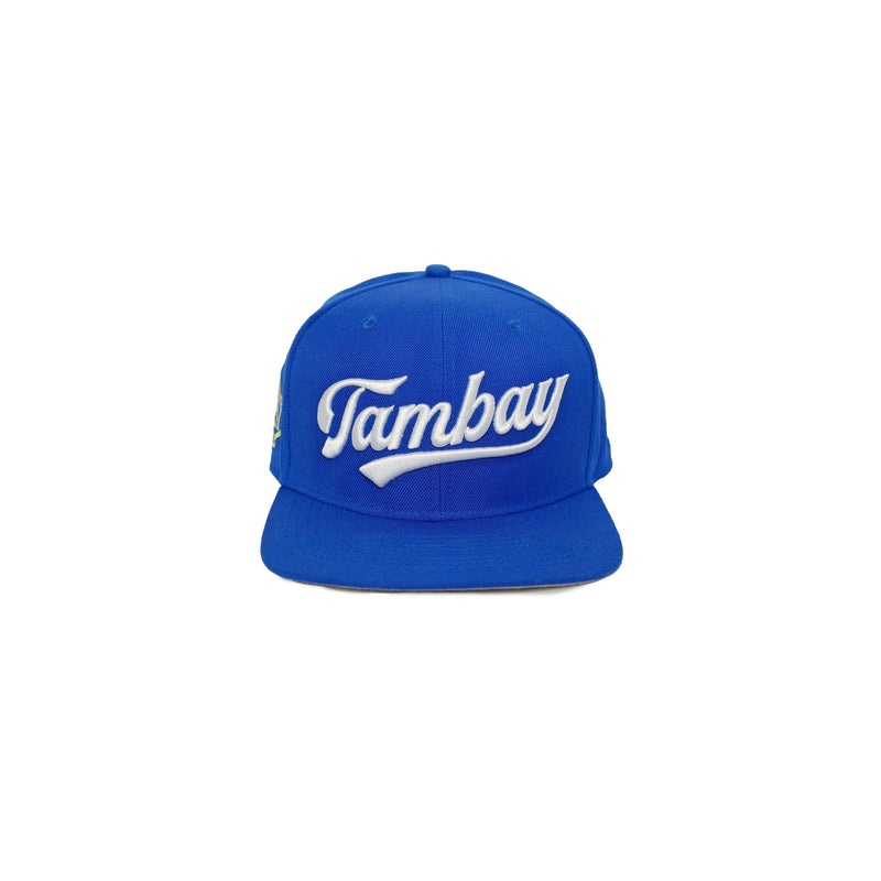 Tambay Cap V20 - TAMBAY